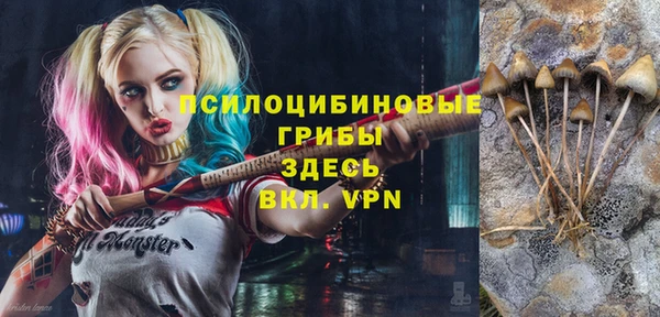 а пвп мука Саяногорск