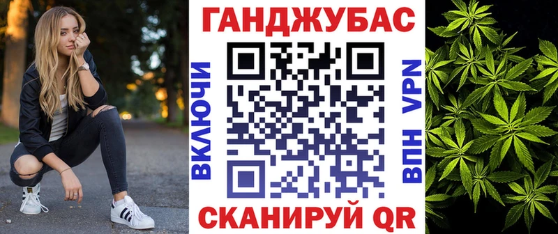 Бошки Шишки ГИДРОПОН  Стародуб 